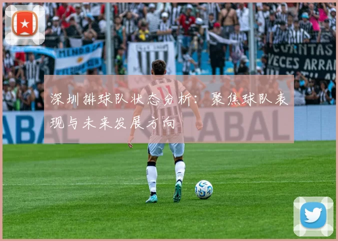 深圳排球队状态分析：聚焦球队表现与未来发展方向