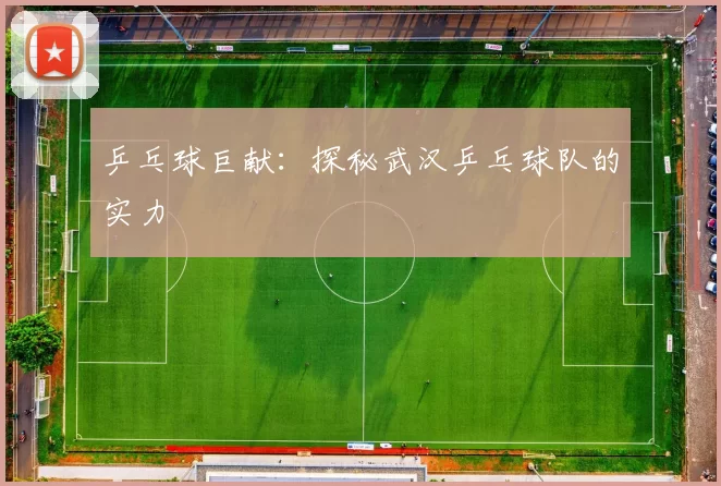 乒乓球巨献：探秘武汉乒乓球队的实力