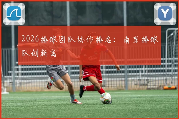 2026排球团队协作排名：南京排球队创新高