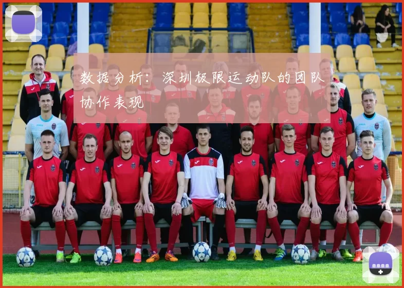 数据分析：深圳极限运动队的团队协作表现