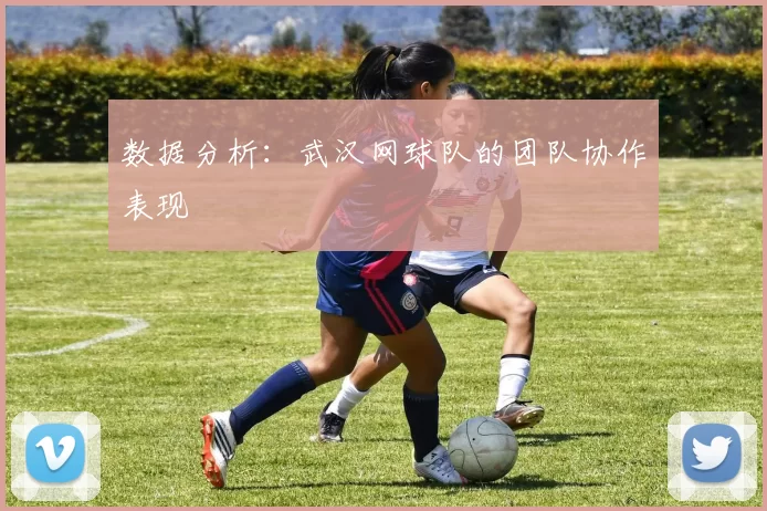 数据分析：武汉网球队的团队协作表现
